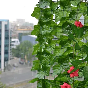  Apartament Dreams By The River România